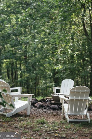 843 Fern Valley Road Ellijay - 60