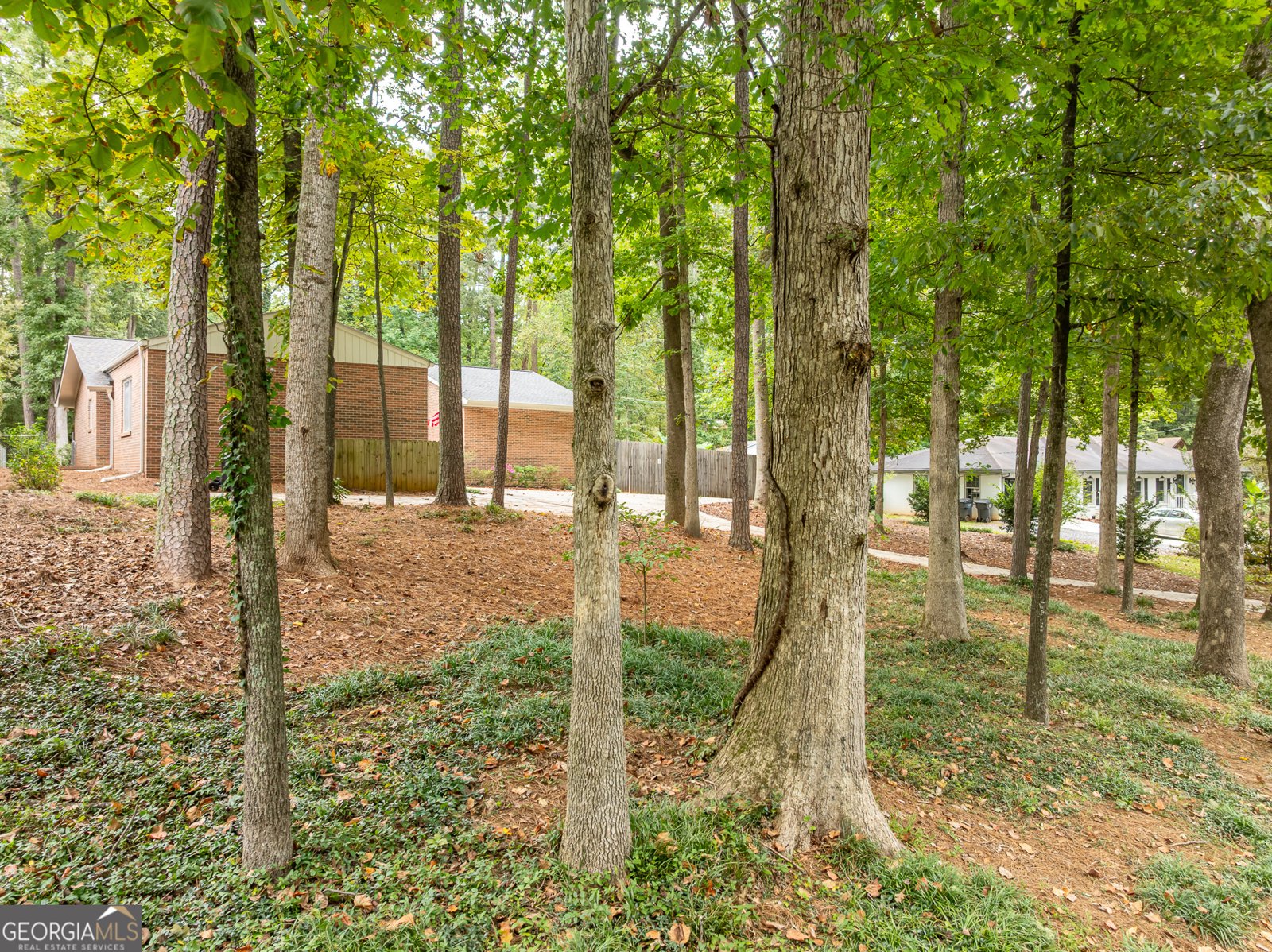 3290 Custer Lake Drive Marietta - 53
