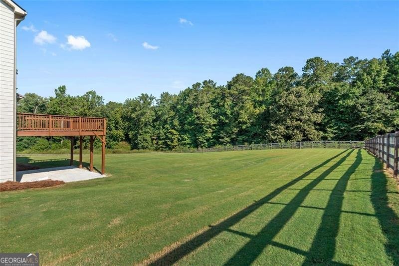 107 BARNSLEY FARMS Drive Senoia - 43