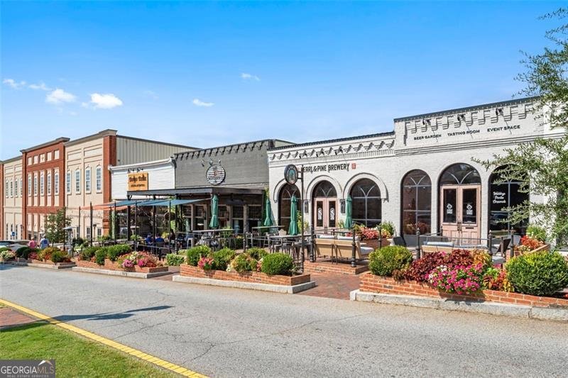 107 BARNSLEY FARMS Drive Senoia - 54