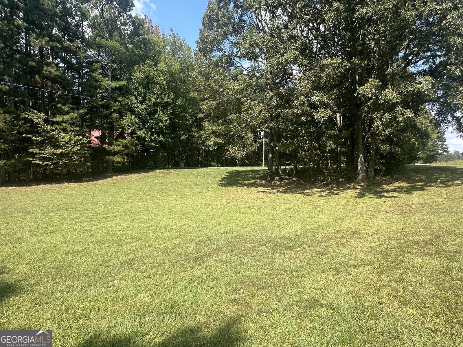 8275 Pea Ridge Road Cornelia - 15