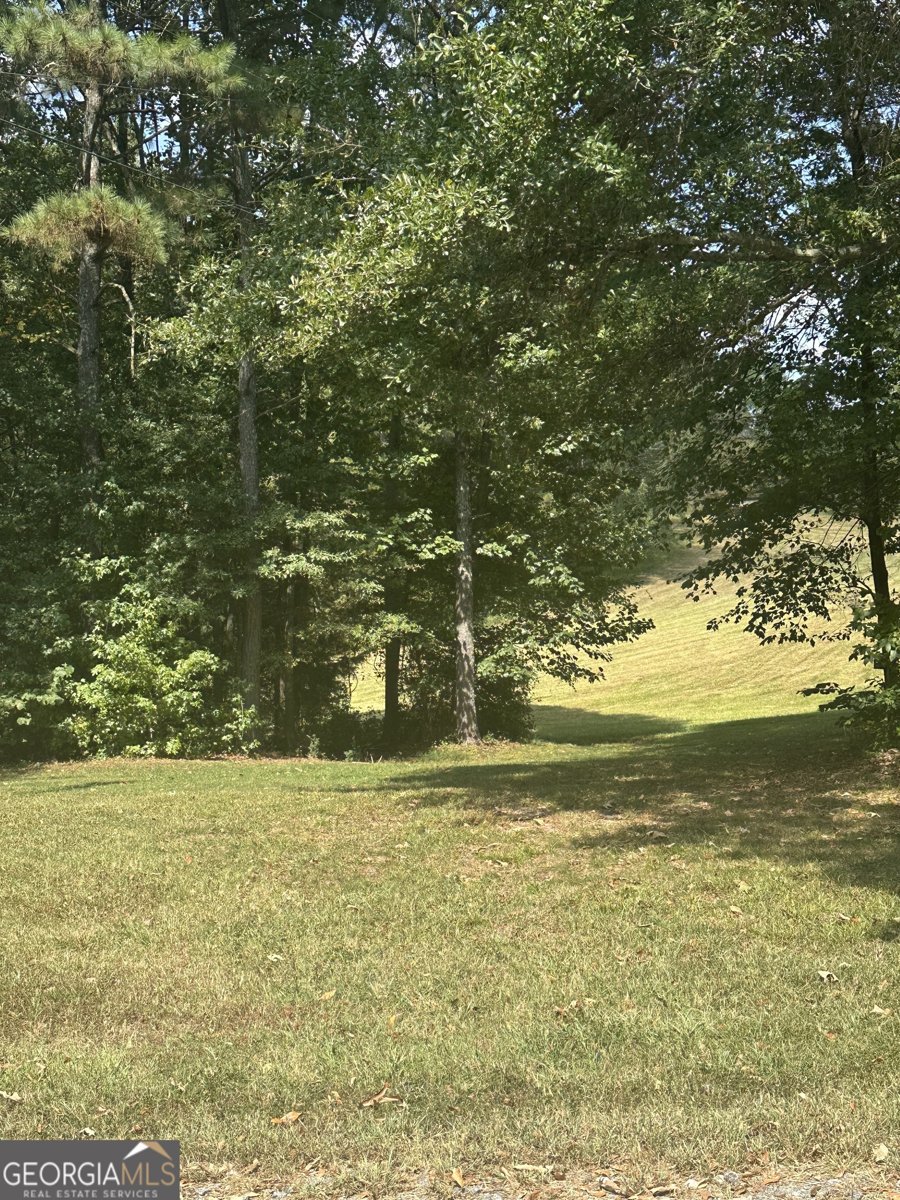 8275 Pea Ridge Road Cornelia - 20