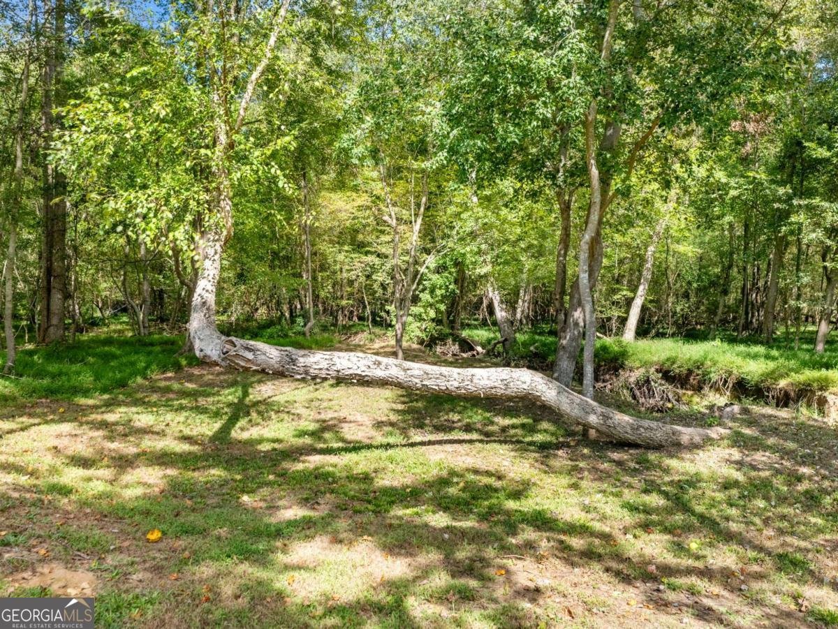 219 Grand Oak Drive Jefferson - 51