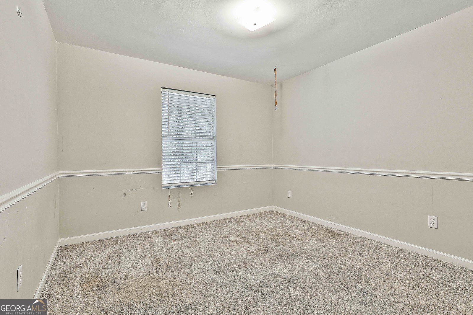 125 Joy Springs Court Senoia - 10