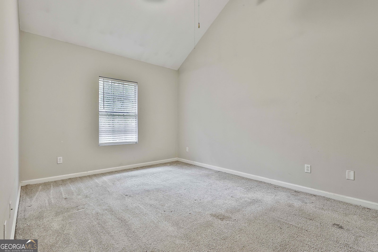 125 Joy Springs Court Senoia - 13
