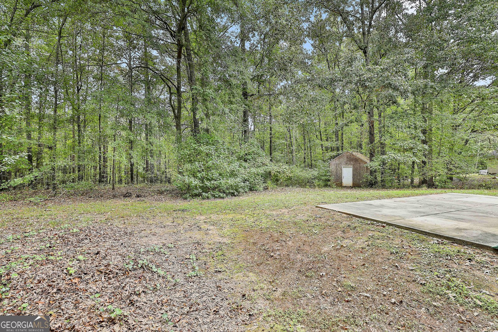 125 Joy Springs Court Senoia - 20