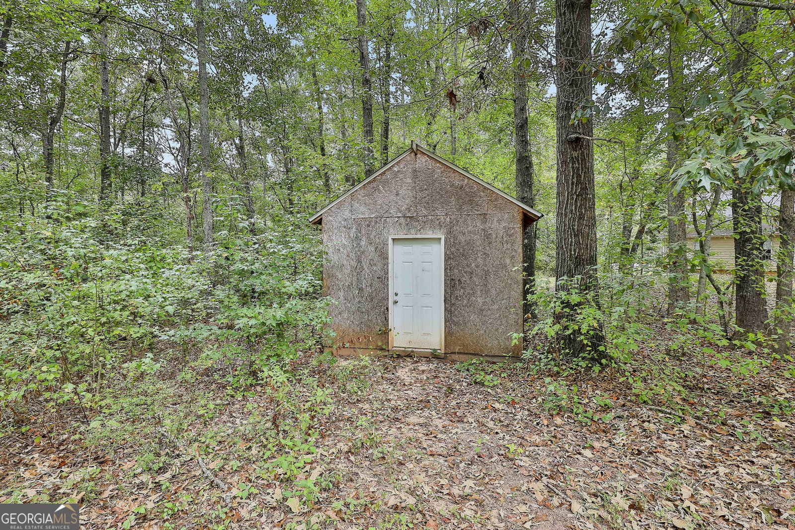 125 Joy Springs Court Senoia - 24