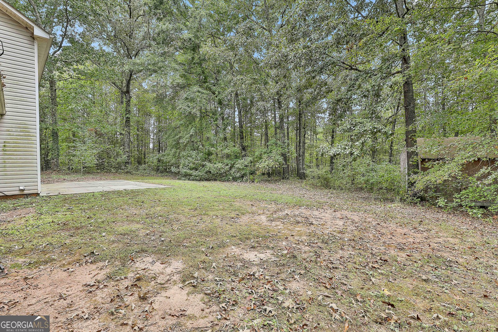 125 Joy Springs Court Senoia - 25