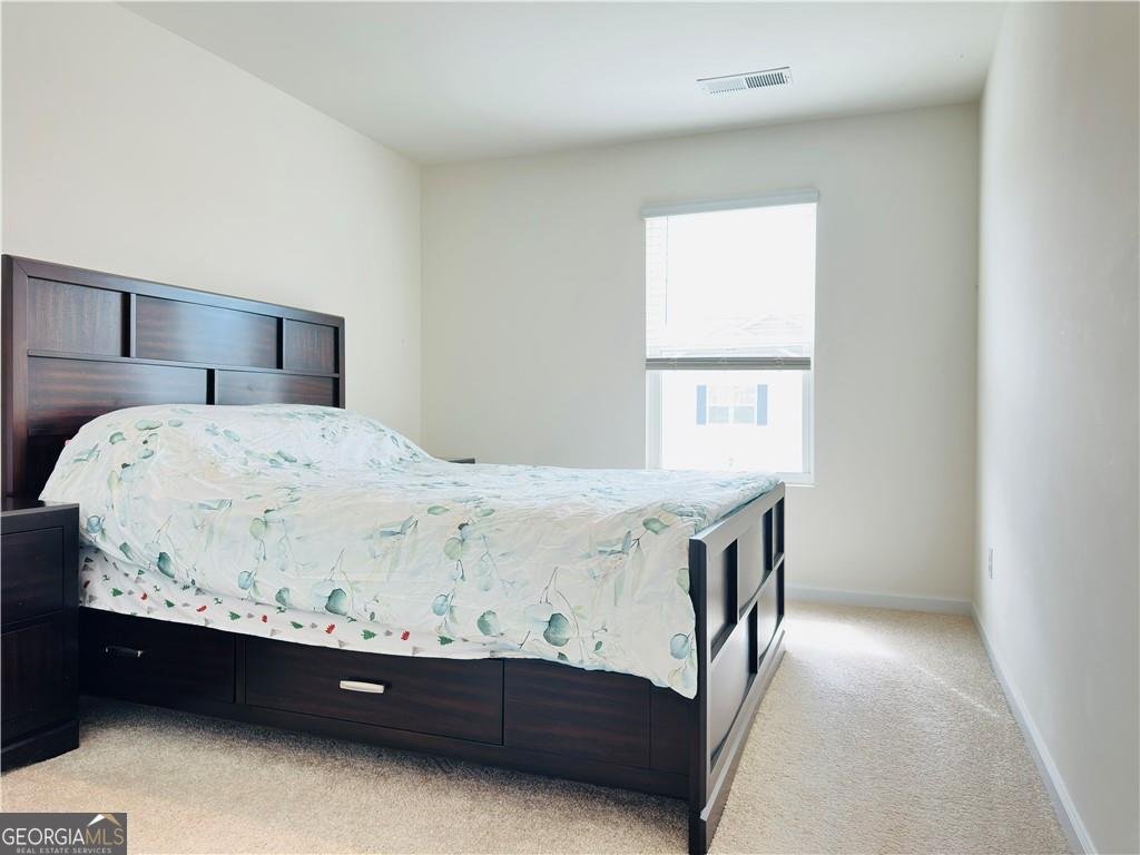404 SHASTA Court Hoschton - 29