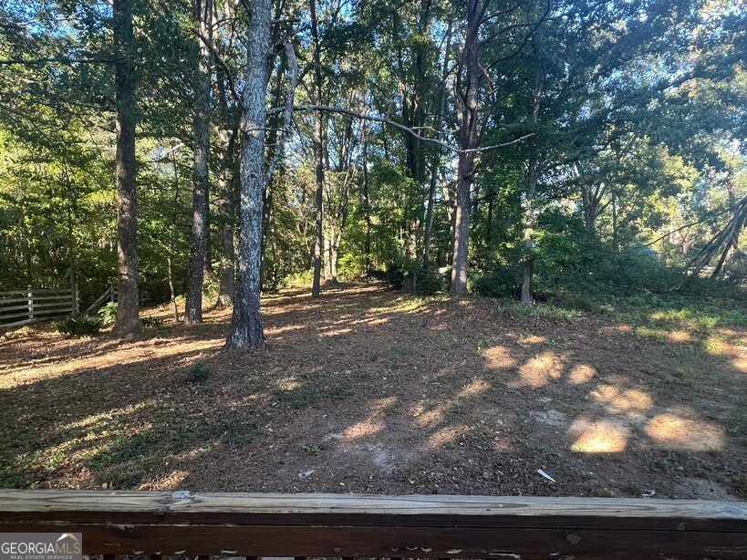 786 Jefferson Drive Conyers - 35