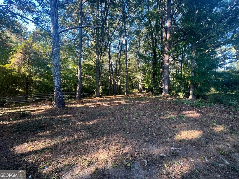786 Jefferson Drive Conyers - 36
