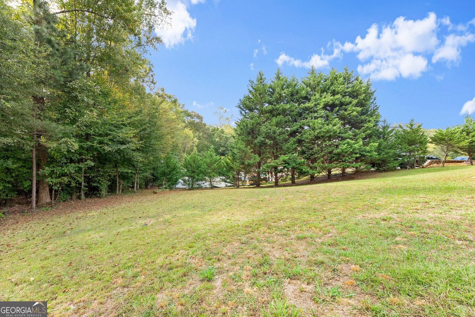 4525 Legacy Court Hoschton - 45