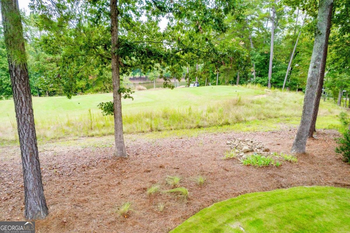 1090 Curtright Place Greensboro - 59