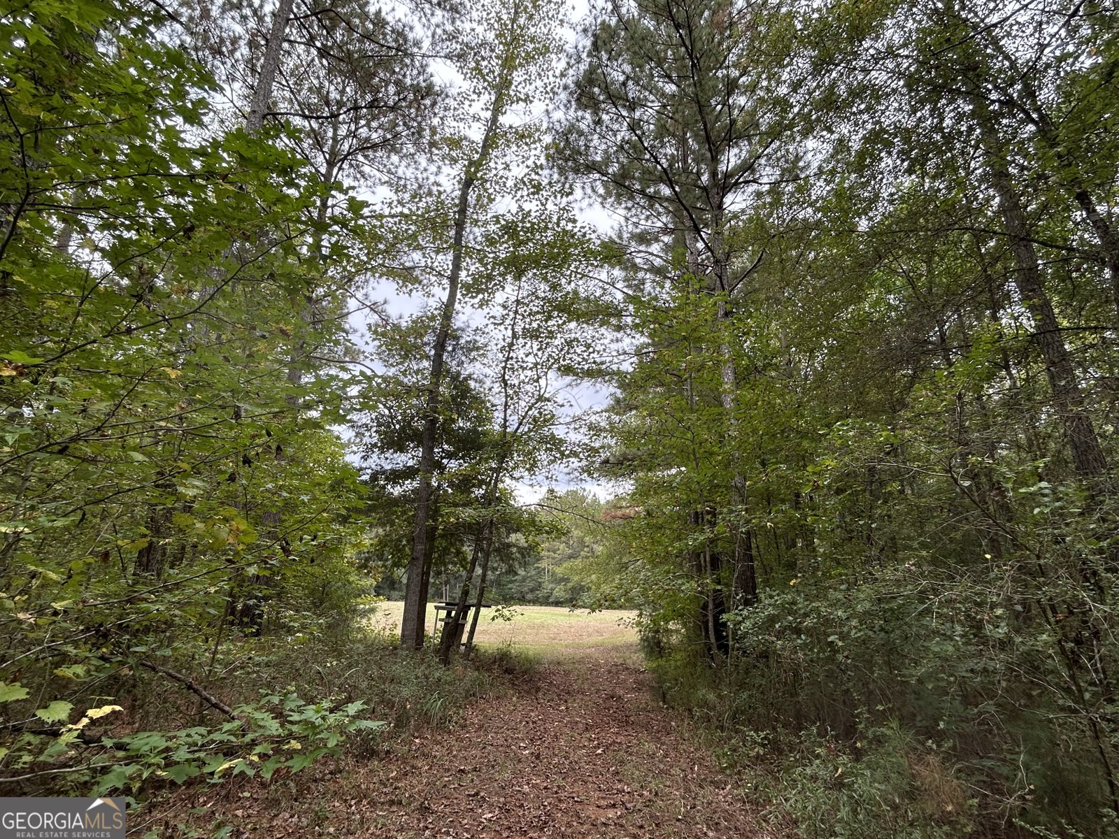 2734 Flat Shoals Road Concord - 15