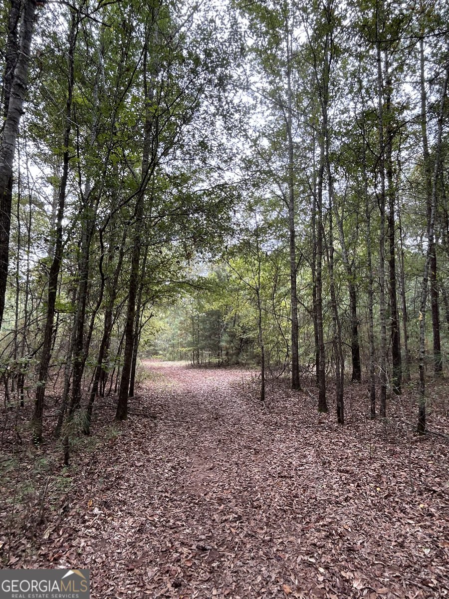 2734 Flat Shoals Road Concord - 16