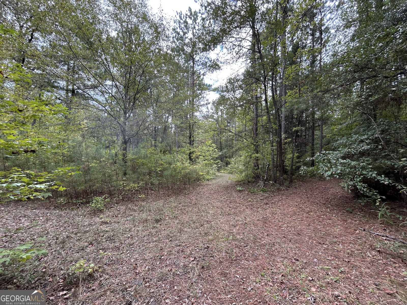 2734 Flat Shoals Road Concord - 31