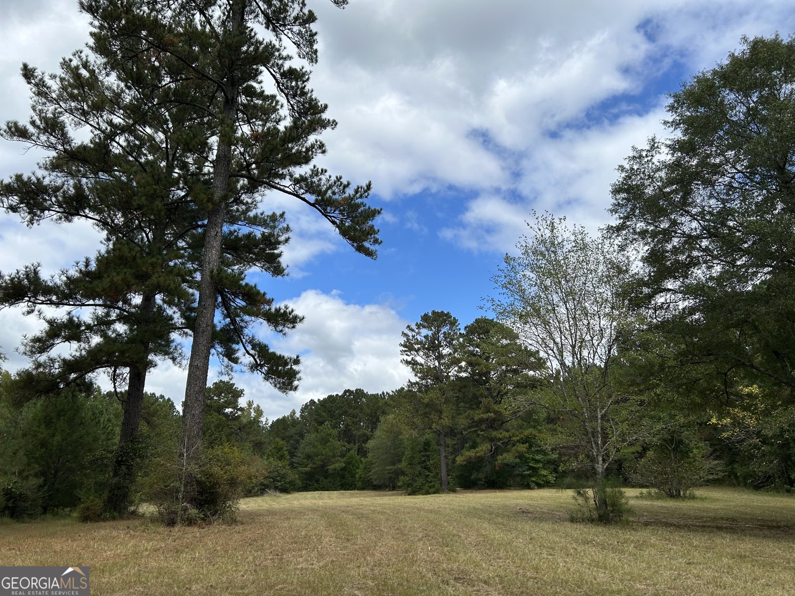 2734 Flat Shoals Road Concord - 4
