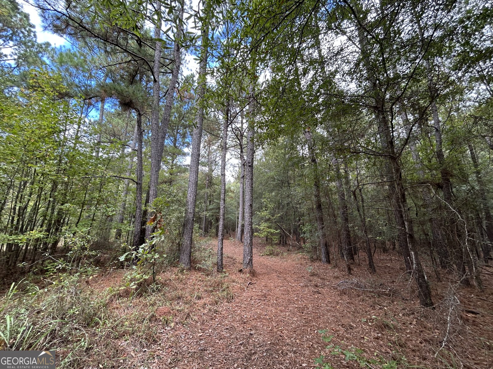 2734 Flat Shoals Road Concord - 8
