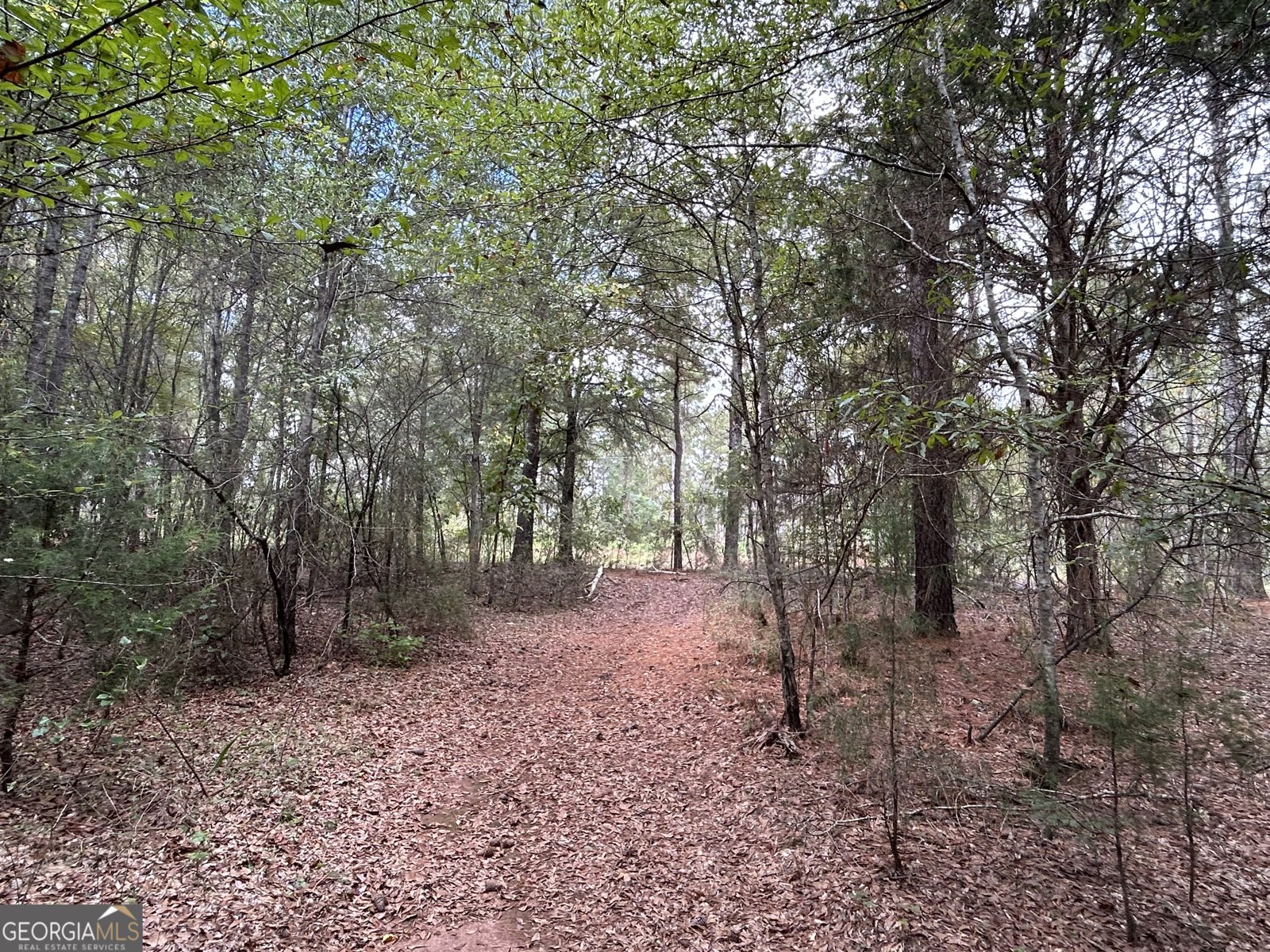 2734 Flat Shoals Road Concord - 9