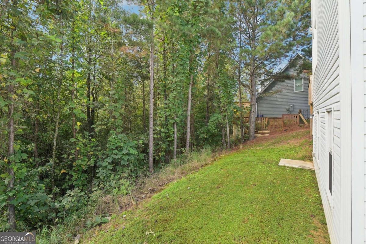 113 Covington Drive Ball Ground - 24