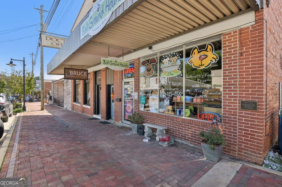 113 Covington Drive Ball Ground - 4