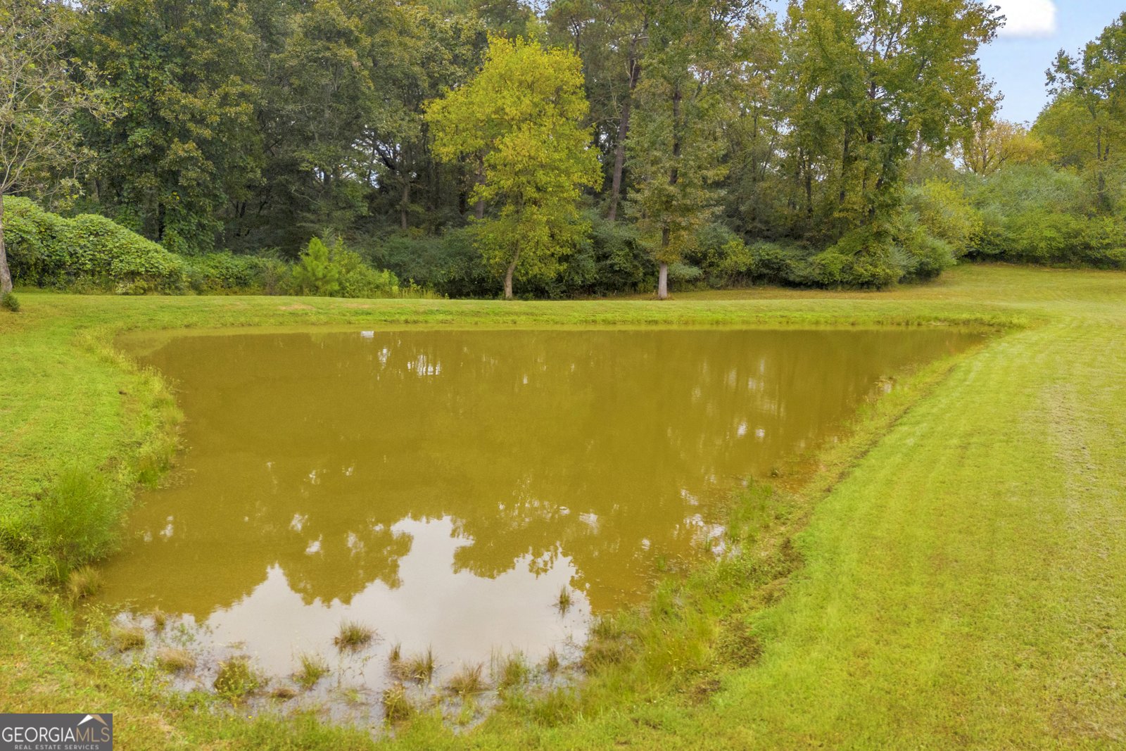 2810 Highway 98 Maysville - 68