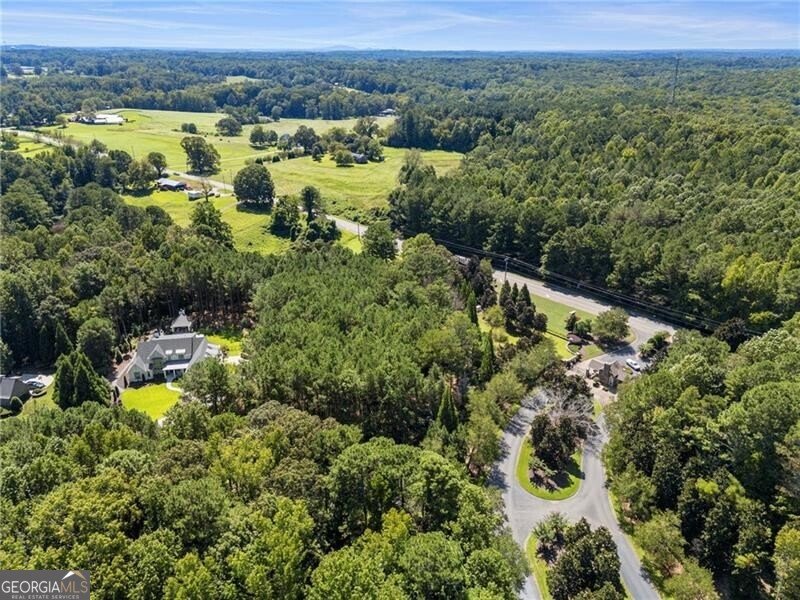 210 Hawks Lake Drive Ball Ground - 67