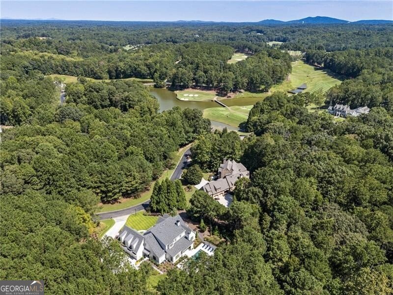 210 Hawks Lake Drive Ball Ground - 68