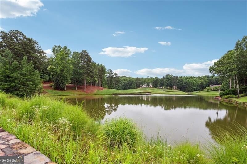 210 Hawks Lake Drive Ball Ground - 69