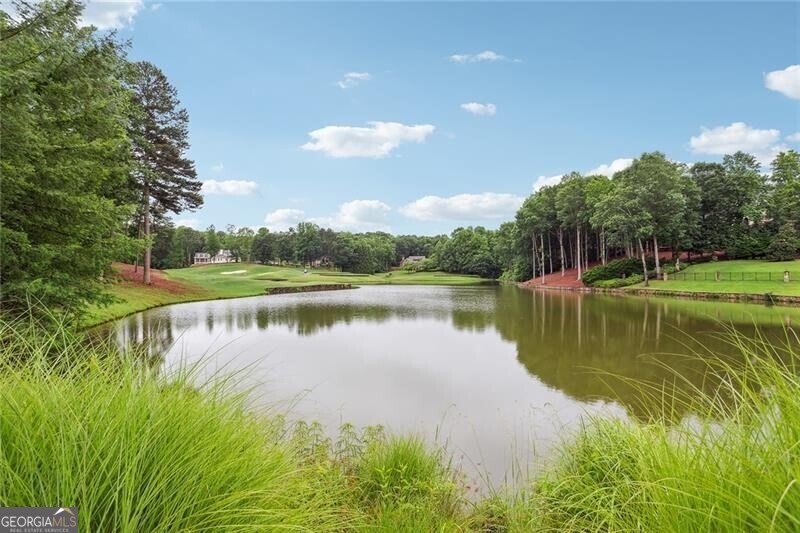210 Hawks Lake Drive Ball Ground - 70