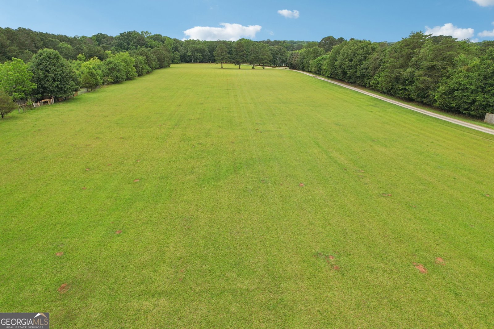 3612 Bill Gardner Parkway Locust Grove - 82