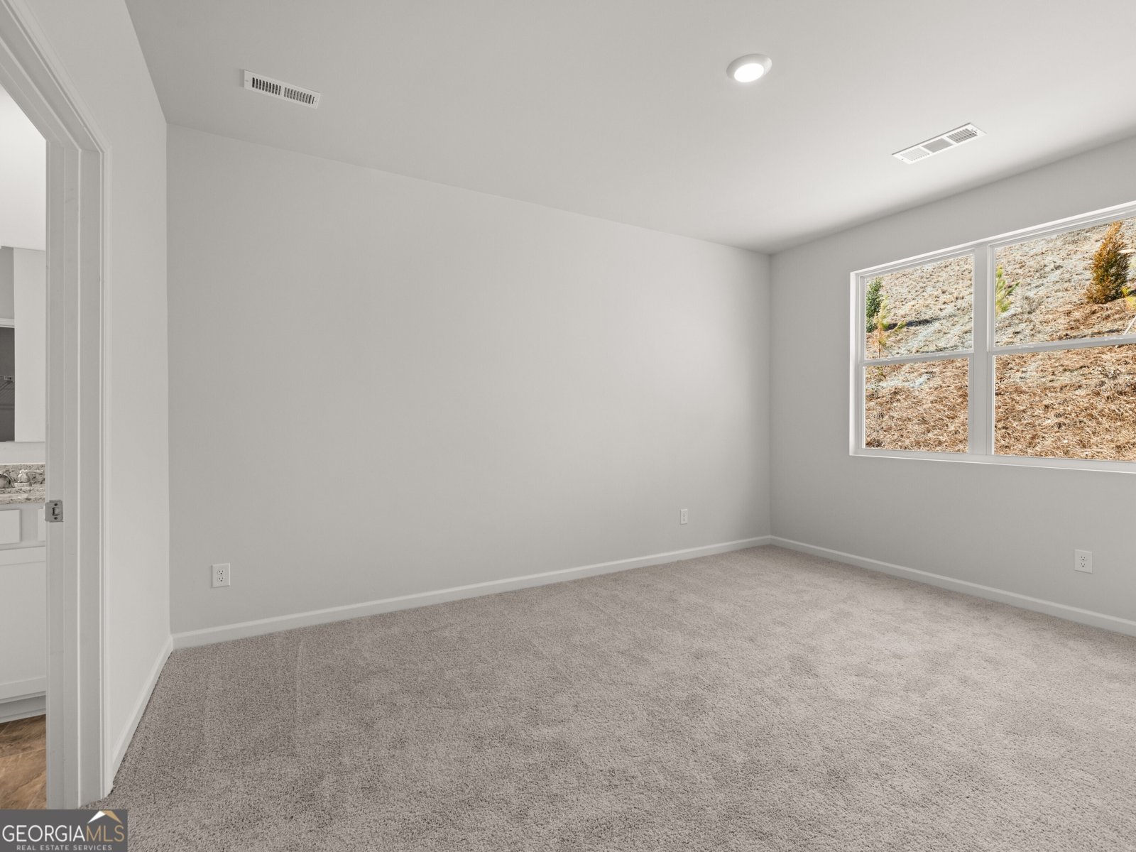 163 Landsdowne Way Cartersville - 18