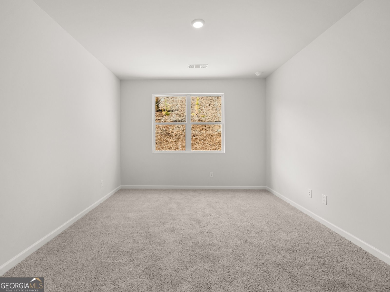 163 Landsdowne Way Cartersville - 19