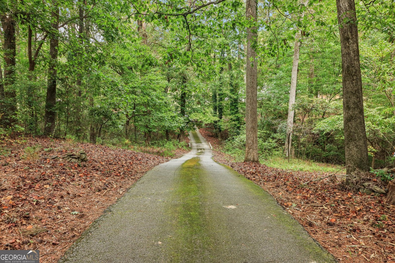 2541 Bethel Road Conyers - 19