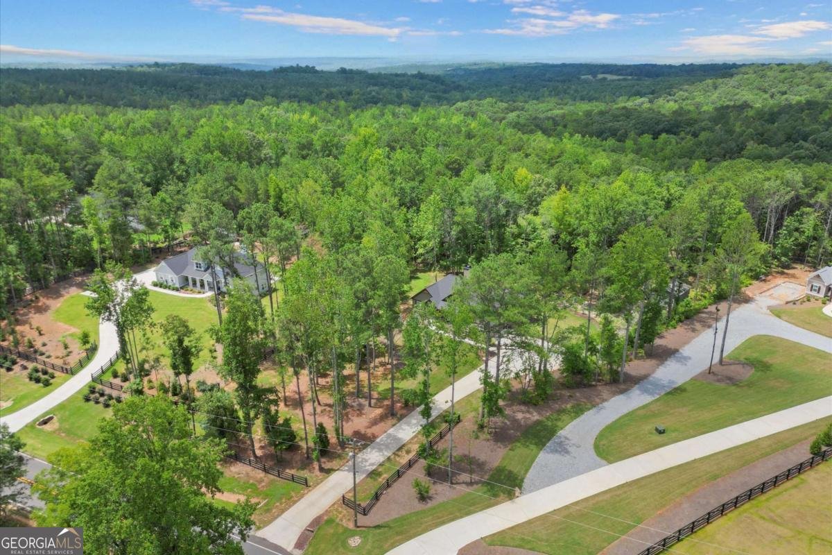 4635 Yellow Creek Road Ball Ground - 21