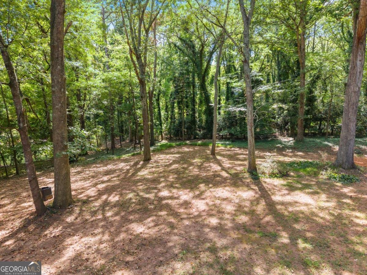 3314 Mcclure Bridge Road Duluth - 45