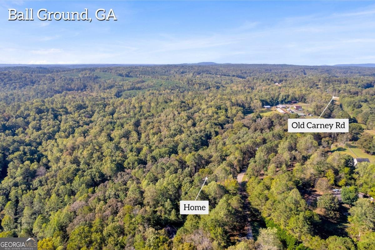 946 Essic Road Ball Ground - 43