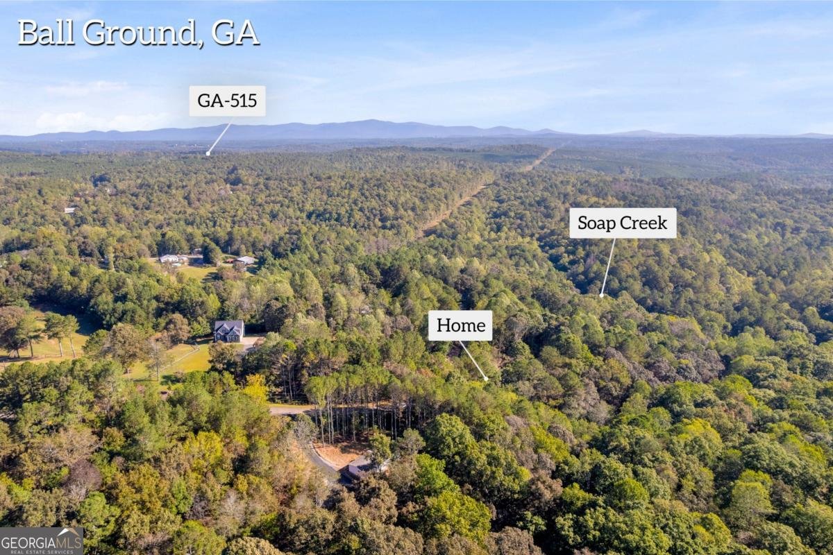 946 Essic Road Ball Ground - 45