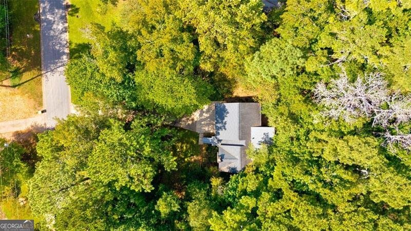 161 Mountain Oak Street Canton - 17