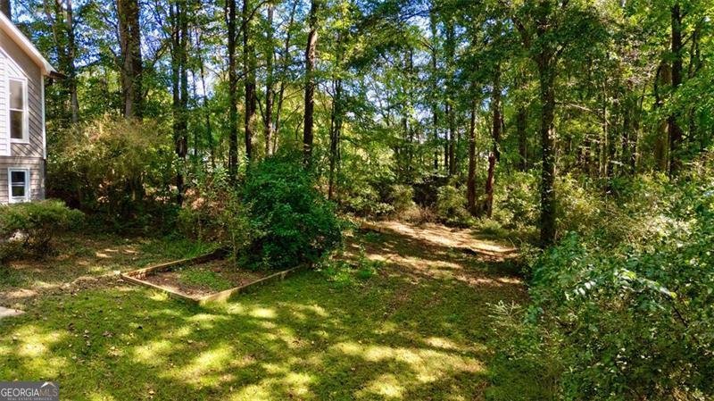 161 Mountain Oak Street Canton - 18
