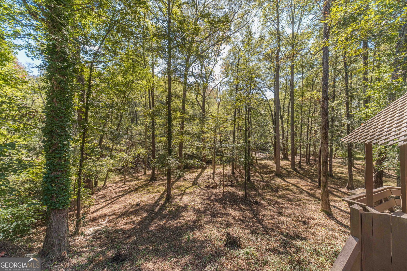 4745 Matthews Park Drive Snellville - 14