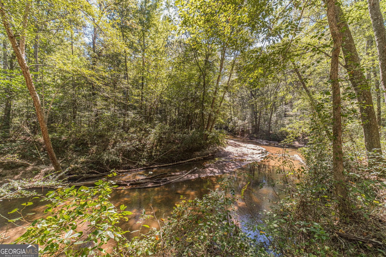 4745 Matthews Park Drive Snellville - 17
