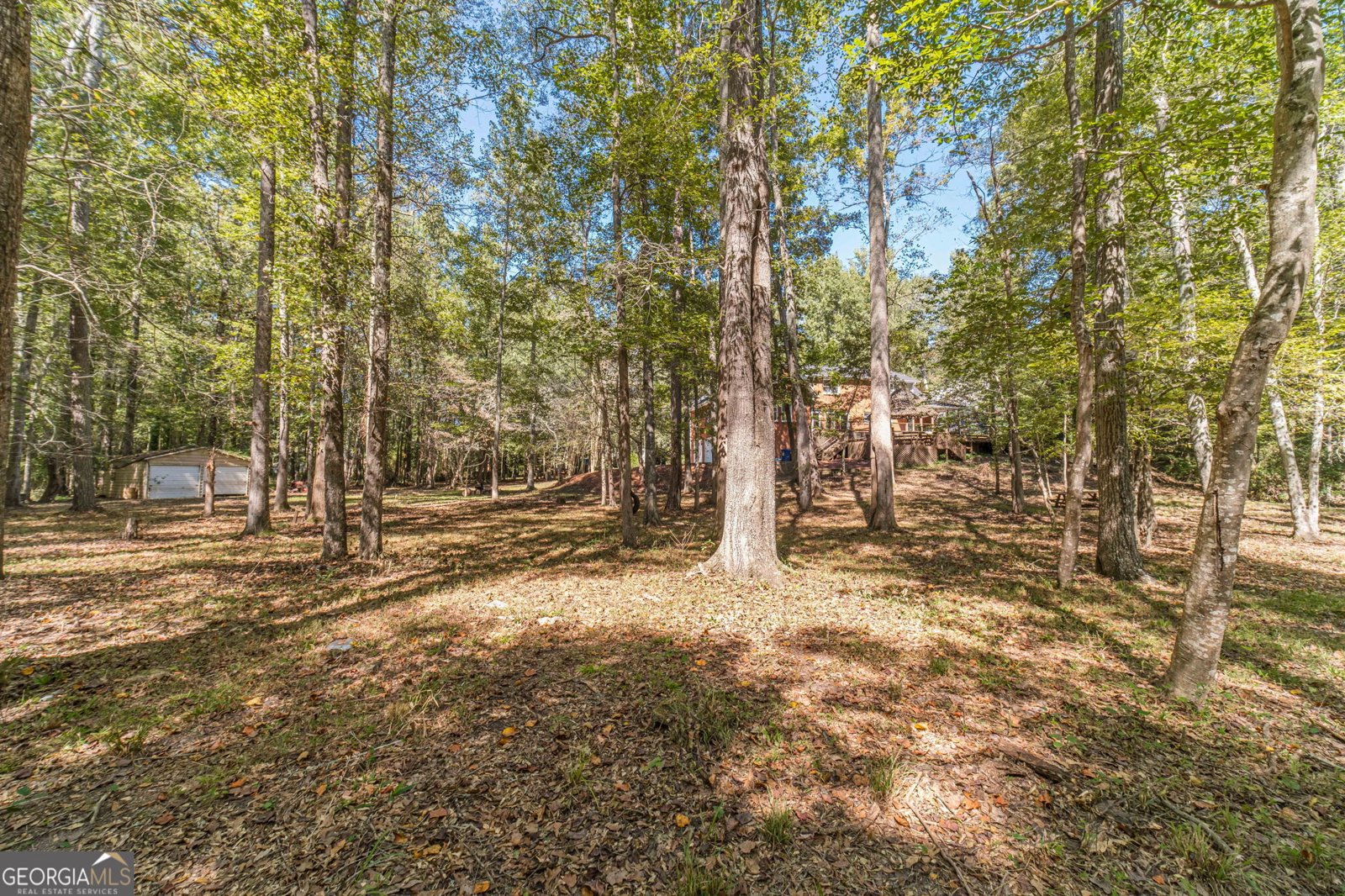4745 Matthews Park Drive Snellville - 18