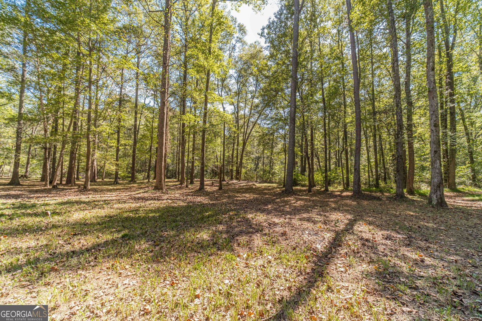 4745 Matthews Park Drive Snellville - 21