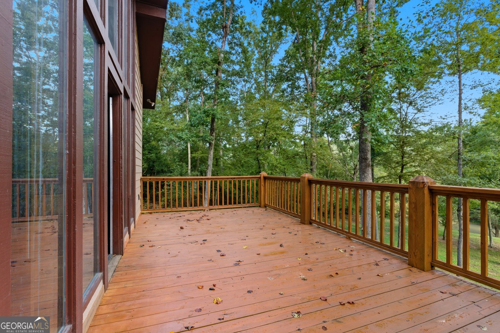 689 Riverside Court Danielsville - 20