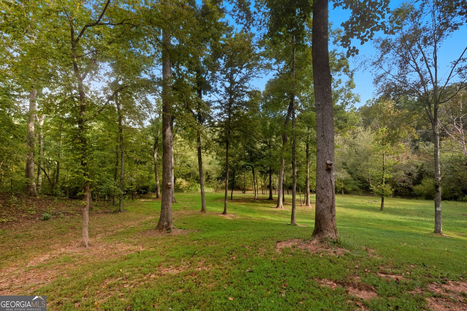 689 Riverside Court Danielsville - 37