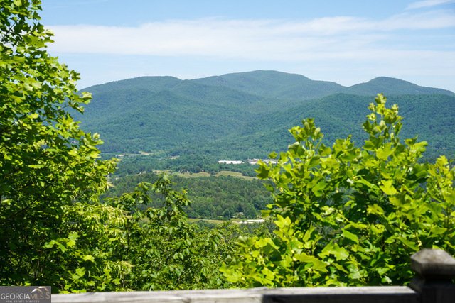 786 Hope Haven Lane Rabun Gap - 39