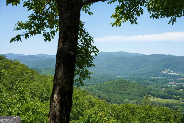 786 Hope Haven Lane Rabun Gap - 5