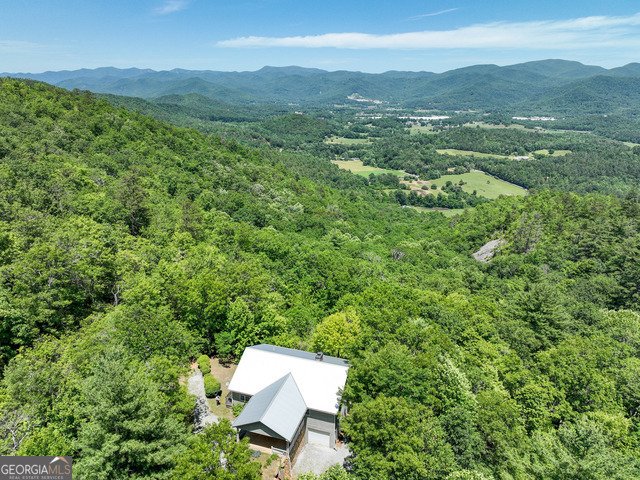786 Hope Haven Lane Rabun Gap - 6