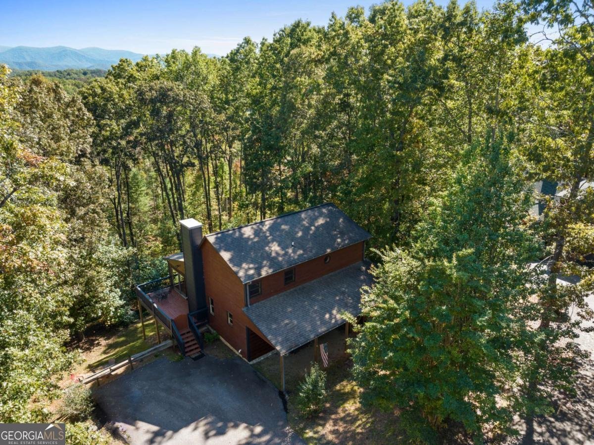 99 Chestnut Hills Lane Blue Ridge - 2